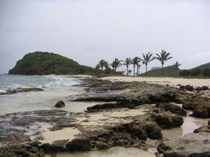 Palm Island